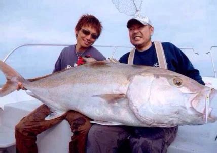 夢見釣到大魚